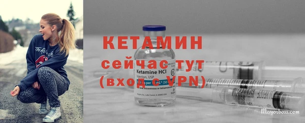 сатива Корсаков