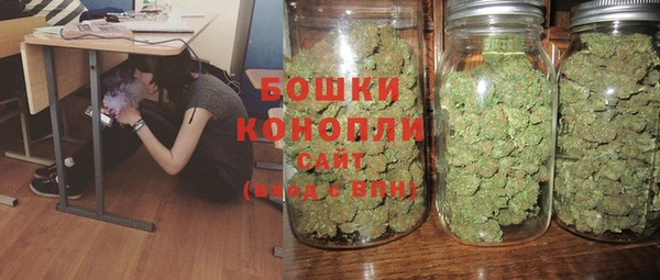сатива Куйбышев