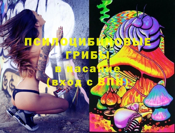 синтетический гашиш Костерёво