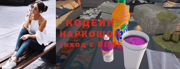 сатива Корсаков