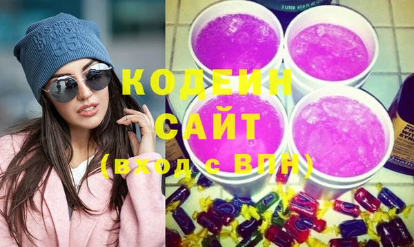 сатива Корсаков