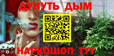 шишки Балашиха