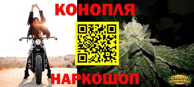 гашик Коммунар