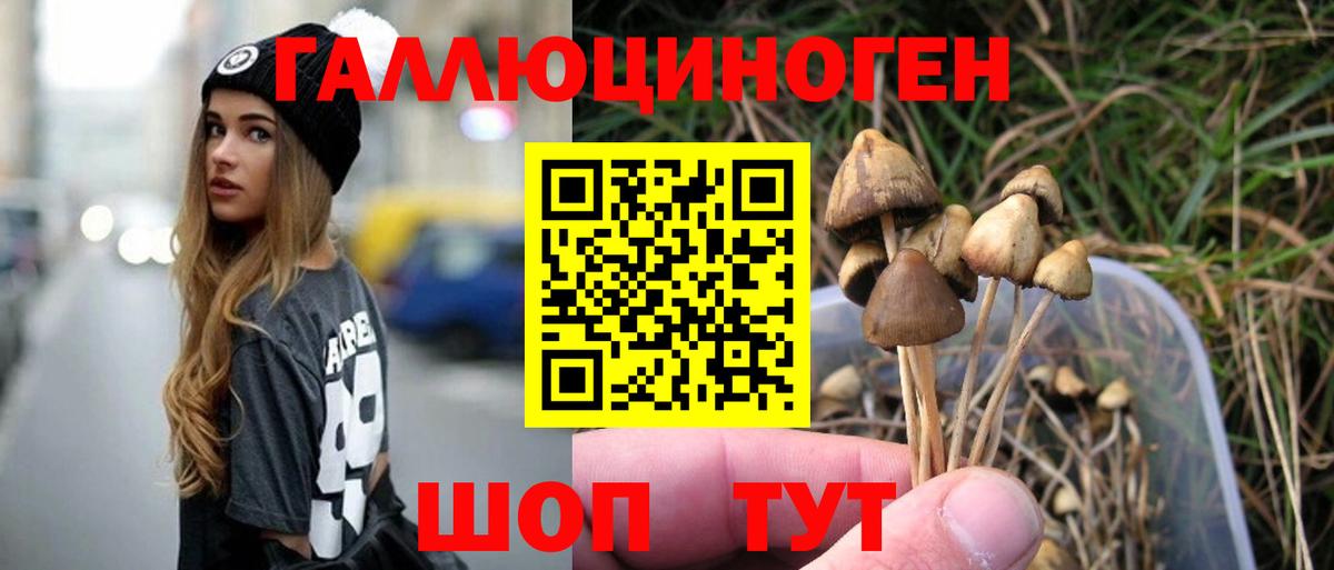 Псилоцибиновые грибы Cubensis  Вход с VPN  Пенза  Псилоцибиновые грибы GOLDEN TEACHER 